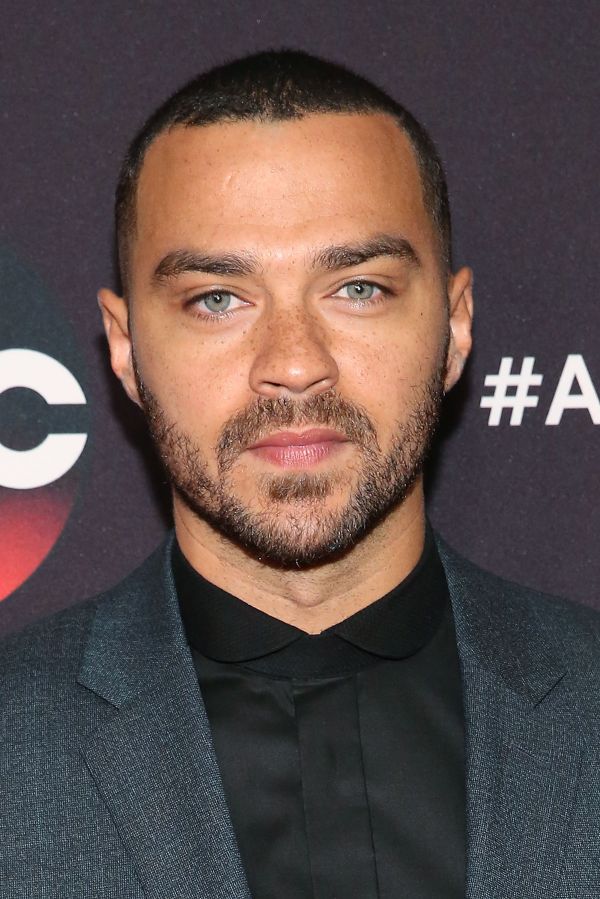 2015 ABC NY Upfront Presentation